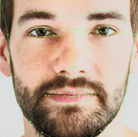 Geometric Facial Feature Extraction